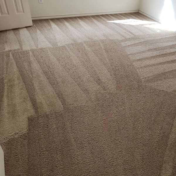 C3 Carpet Cleaning in Wylie