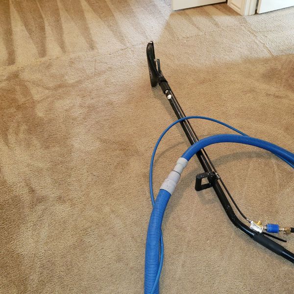 C3 Carpet Cleaning Service