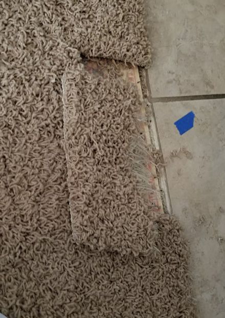 C3 Carpet Repair