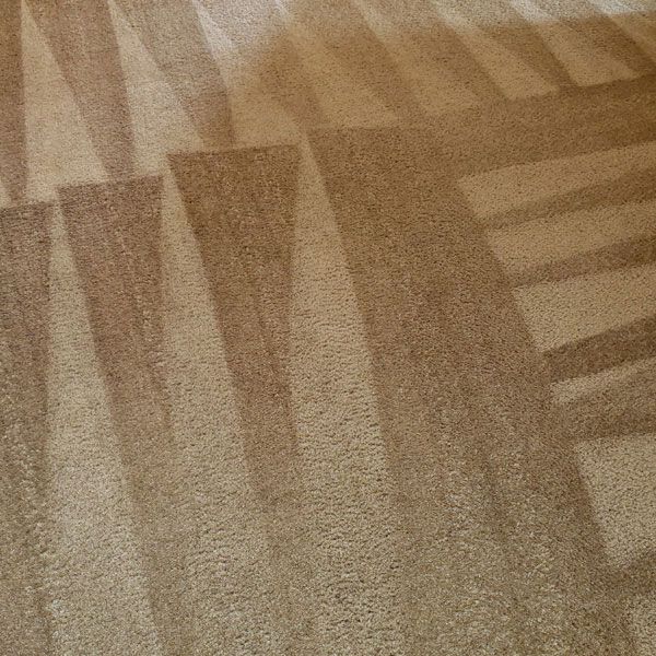 cleaned brown carpet